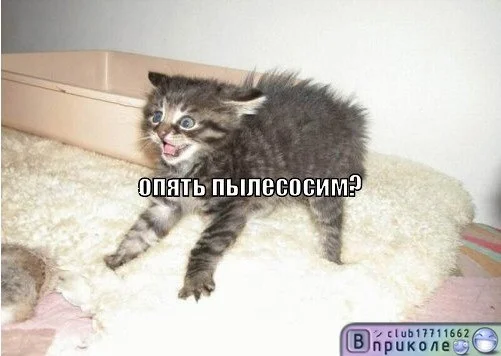 x_cd41752c.webp