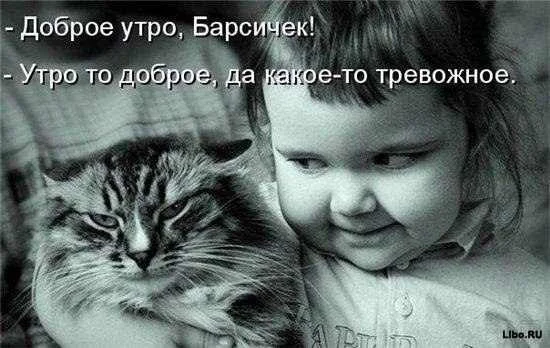 x_f1eb209c.webp