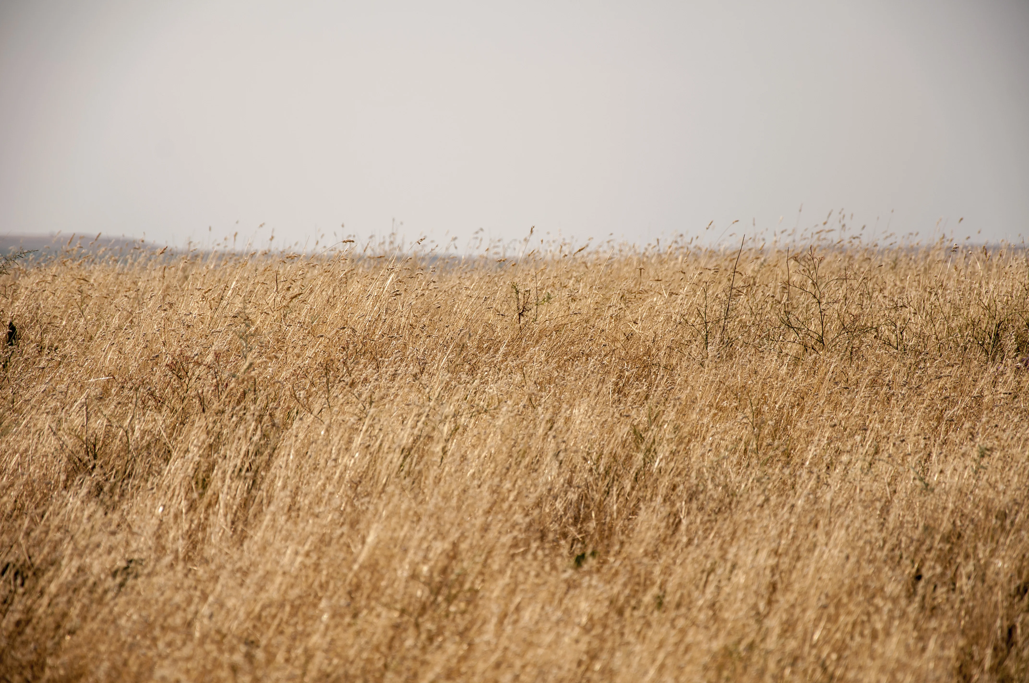 хадыженск 09.07100.webp