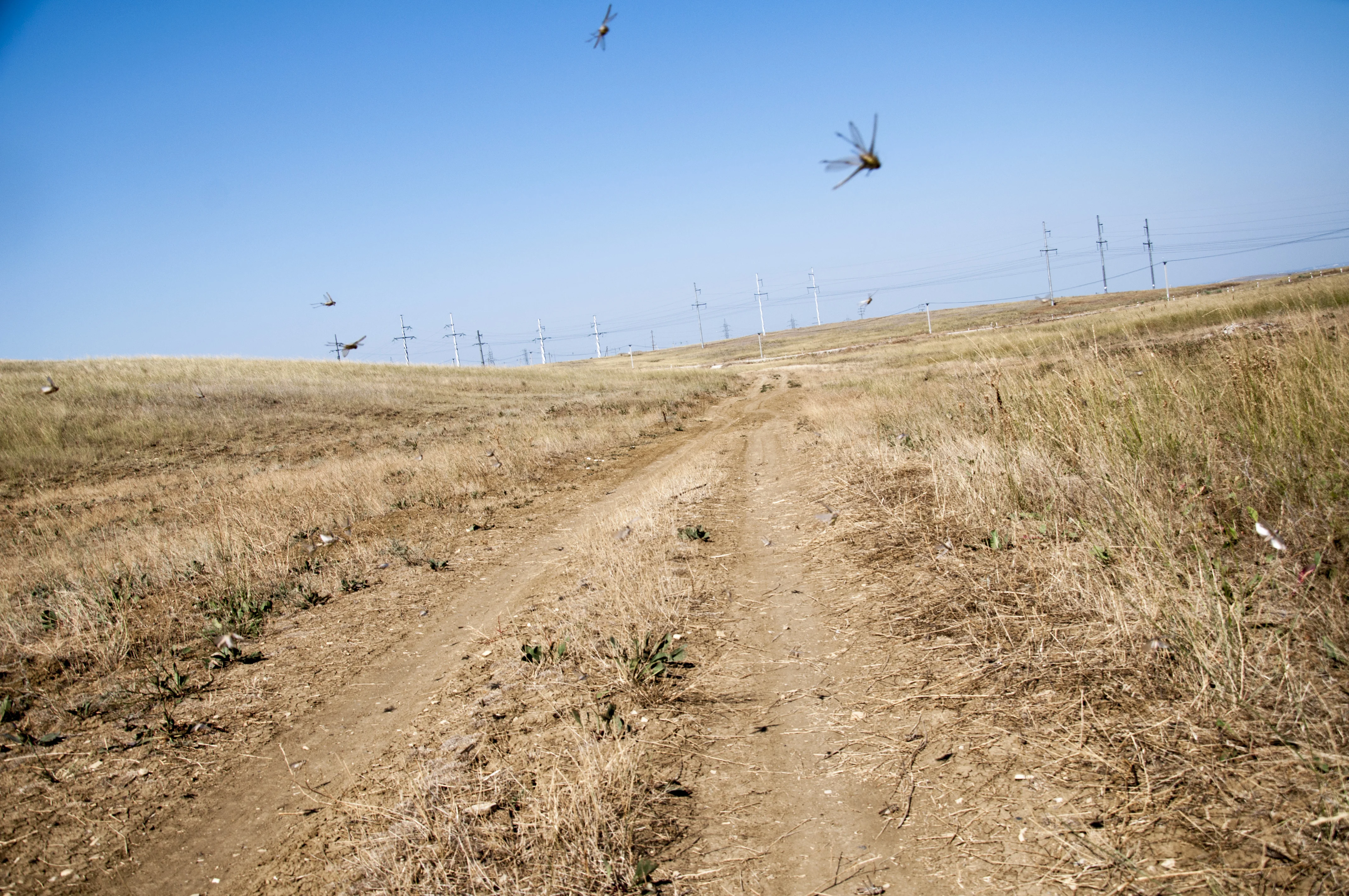 хадыженск 09.07102.webp