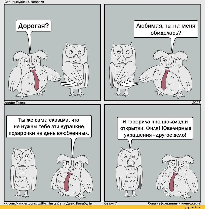 Xander-Toons-Комиксы-Сова-эффективный-менеджер-14-февраля-7828097.webp