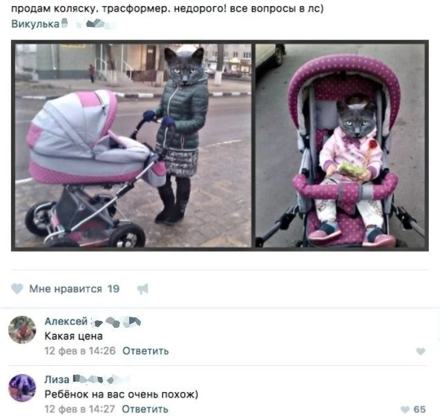 xdOKFa2DH0k.webp