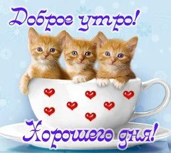 xh_EdINB9b0.webp