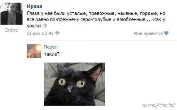 xiMQnxewXbE.jpg