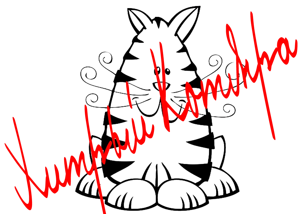 Хитрый Котяра.webp