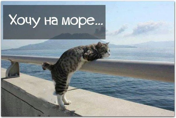 Хочу-на-море.webp