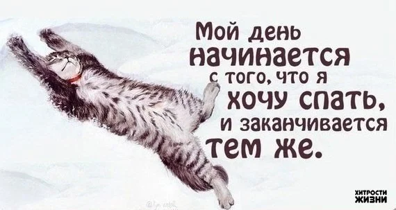 хочу спать.webp