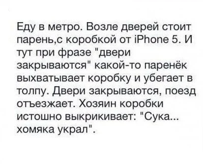 хомяк айфон.webp