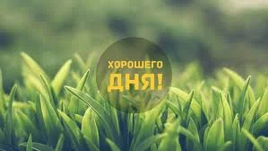 хор д трава.webp