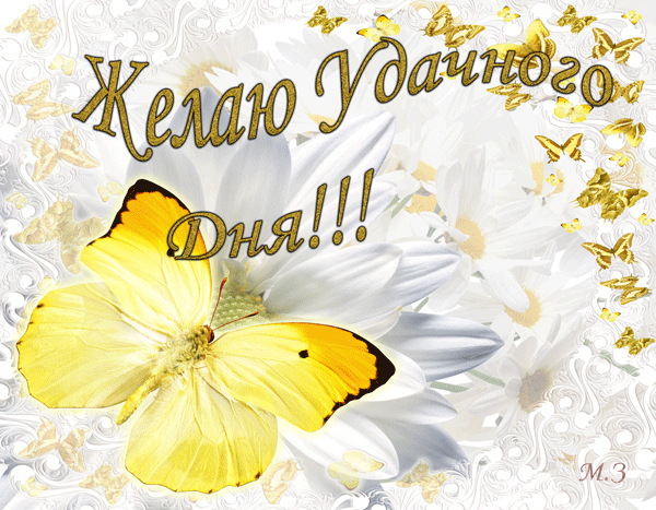 хорошего дня.gif