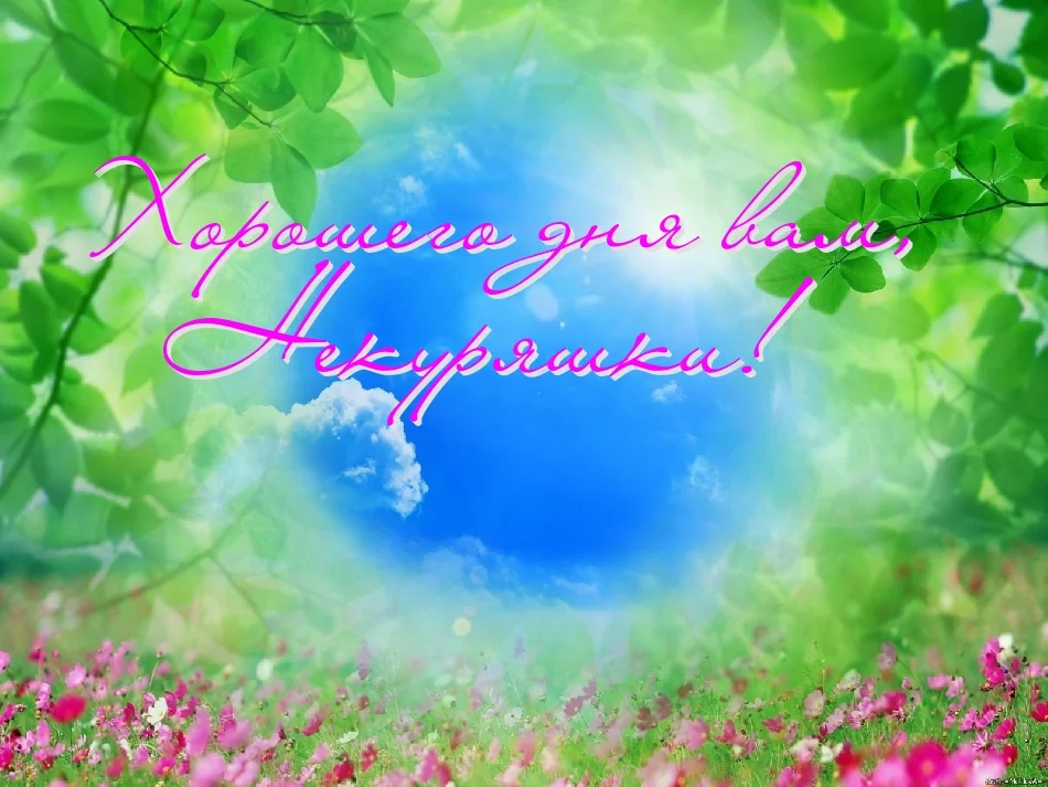 хорошего дня нек.2.webp