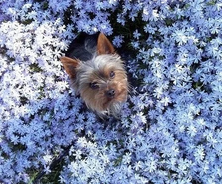 Хорошего Дня!.webp