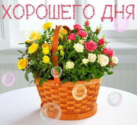 хорошего дня.webp