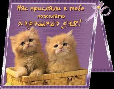 хорошего дня.webp