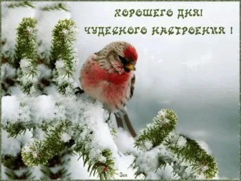 xoroshego-dnya-chudesnogo-nastroeniya.webp