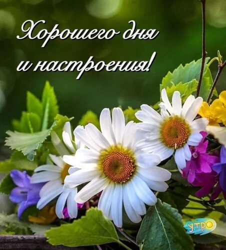 xoroshego-dnya-i-nastroeniya.webp