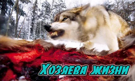 Хозяева жизни группа.webp