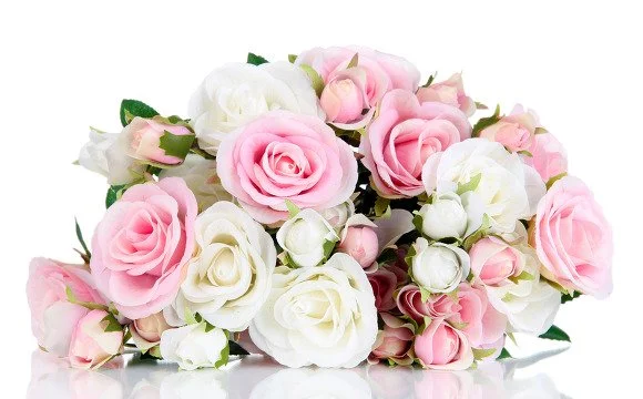 xPHOTOKORE_a5943371_M.jpg.pagespeed.ic.UD_6pEO1Nh.webp