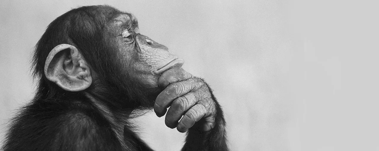 xthink-different-1-banner.jpg.pagespeed.ic.lRcpkCurg4 (1).webp