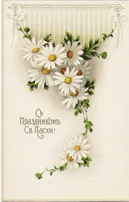 ХВ 2.webp