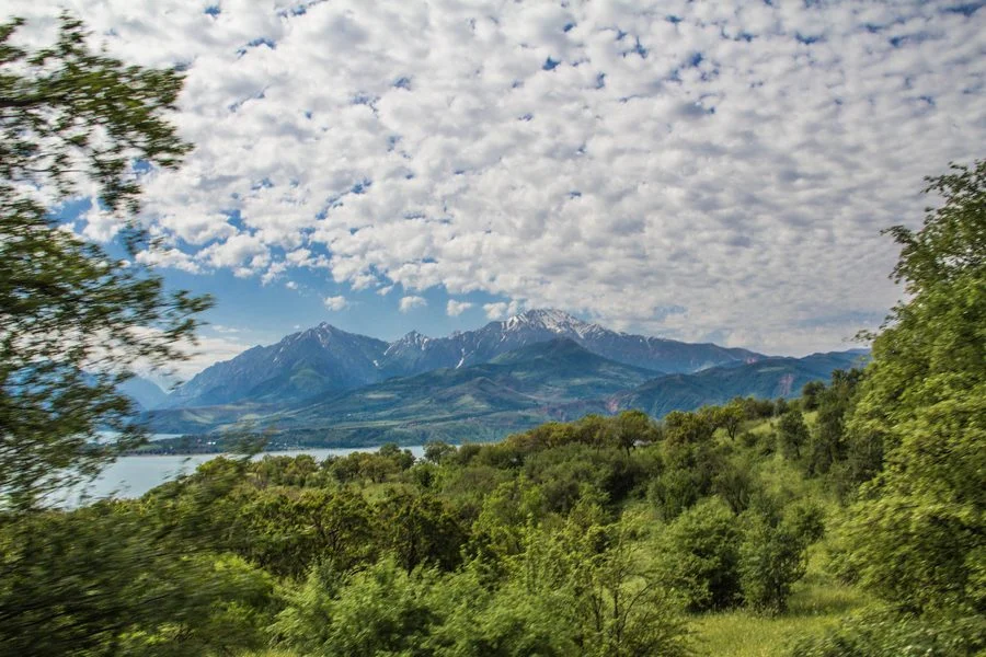 xzd_pub_009_1.webp