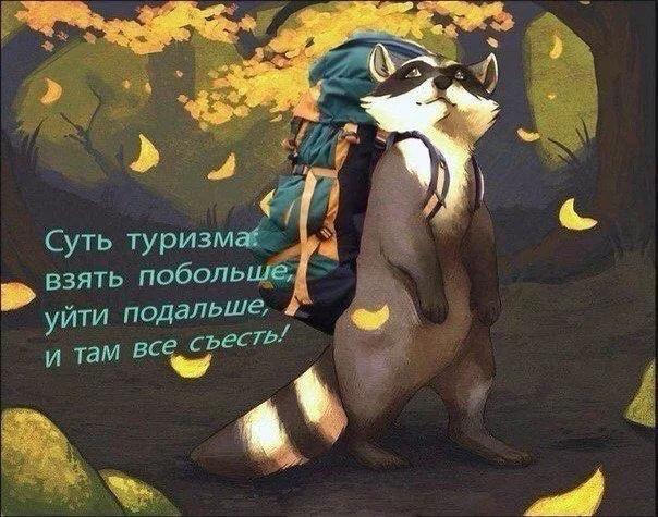 y6MMsEHPCjU.webp