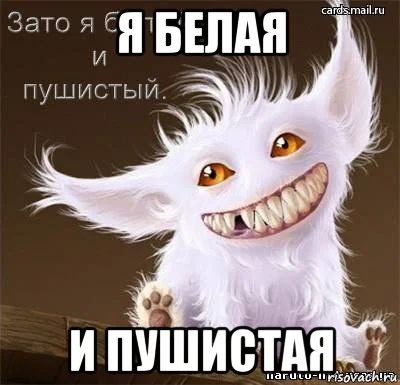 ya-belaya-i-pushistaya_116882787_orig_.webp