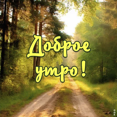 yarkaya-otkrytka-dobroe-utro-20786.webp