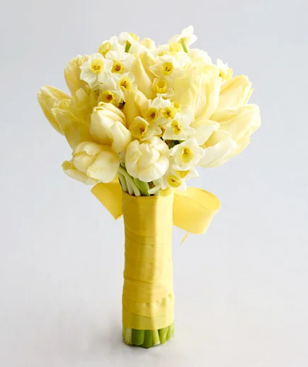 yellow-tulip-paperwhites_gal.webp