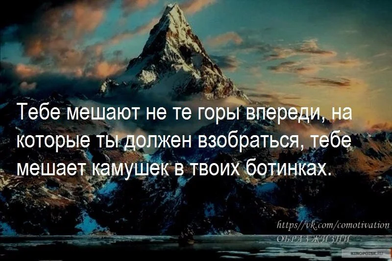 ygLQyeaSxKo.webp