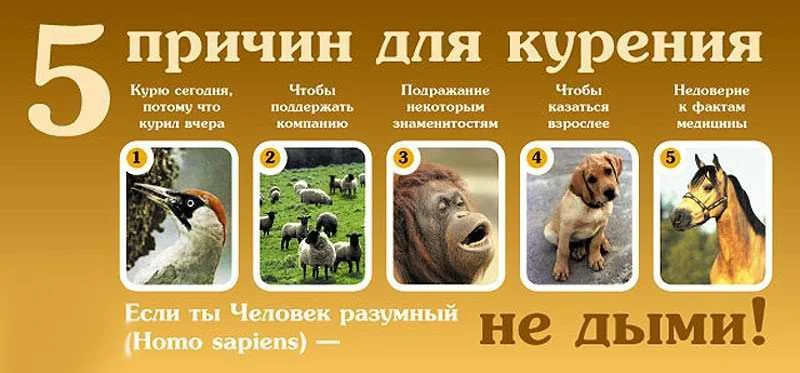 YI8mTFGusaY.webp