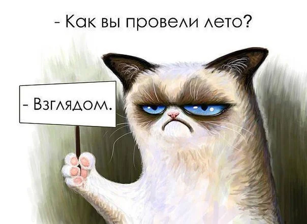 yIskI2ahp0o.webp