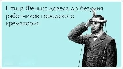 ylgyi lujykb zgncnq.webp