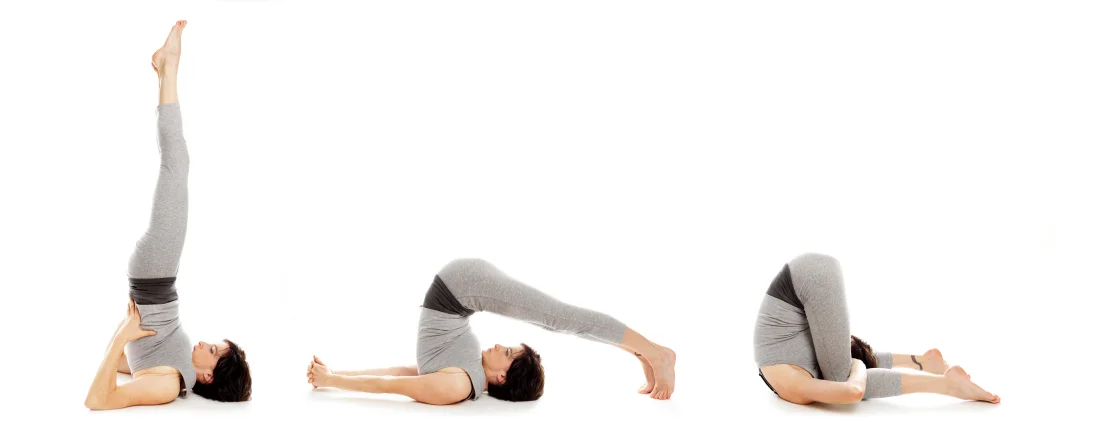 yoga_posture the plow[1].webp