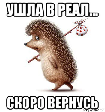 yozhik-s-uzelkom_82627476_orig_.webp