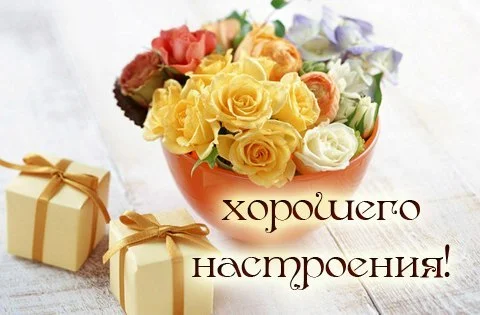 yR8DhF9g8O0.webp