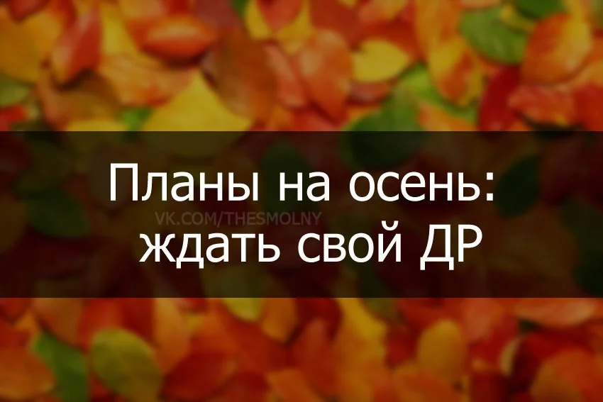yS4S50lvrlU.webp
