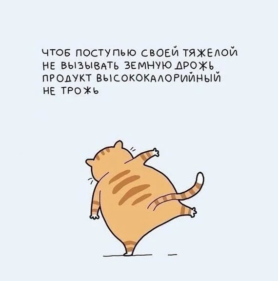 YZXBvbYEoWQ.webp