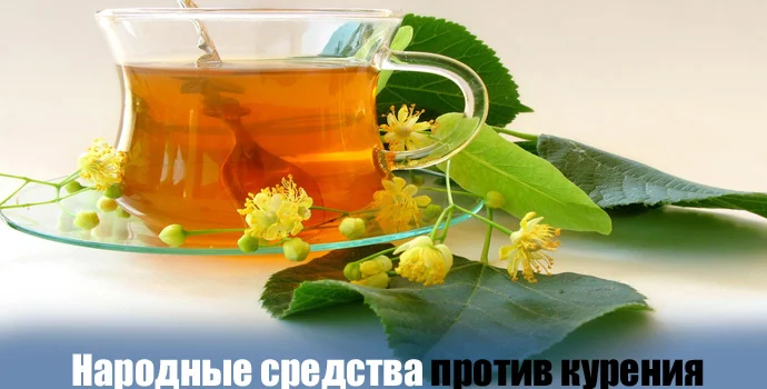 z02.webp
