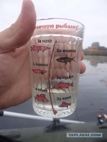 за рыбалку.webp