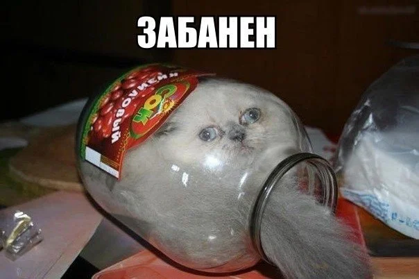забанен.webp