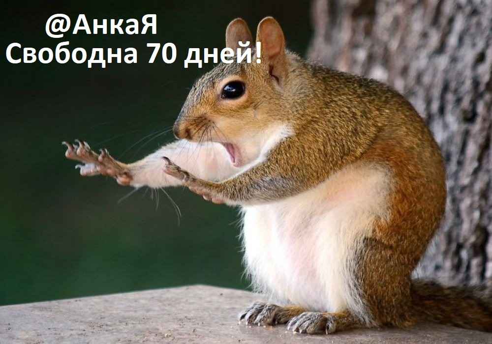 zabavnye-snimki-zhivotnykh-s-konkursa-comedy-wildlife-photography-awards-2018_1537182483-b.jpg