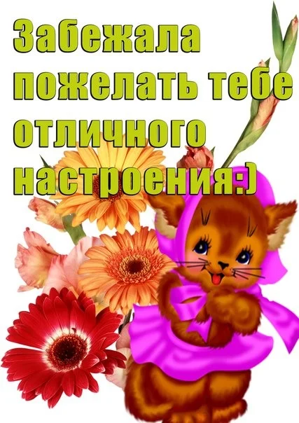 zabezhala-pozhelat-tebe-otlichnogo-nastroeniya.webp
