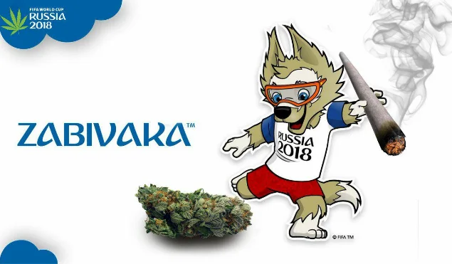 Забивака.webp