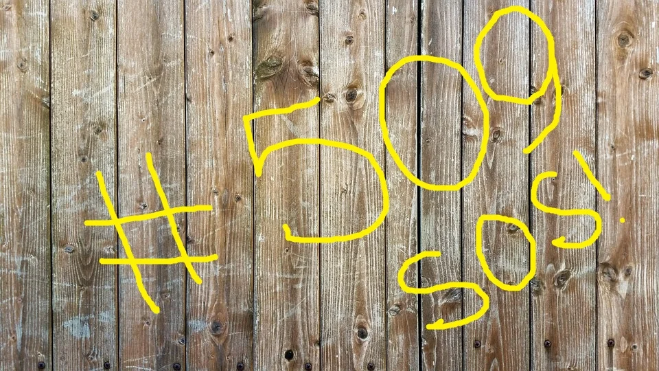 забор 509 1.webp