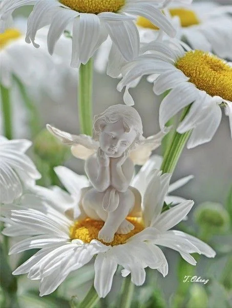 задумался ..webp