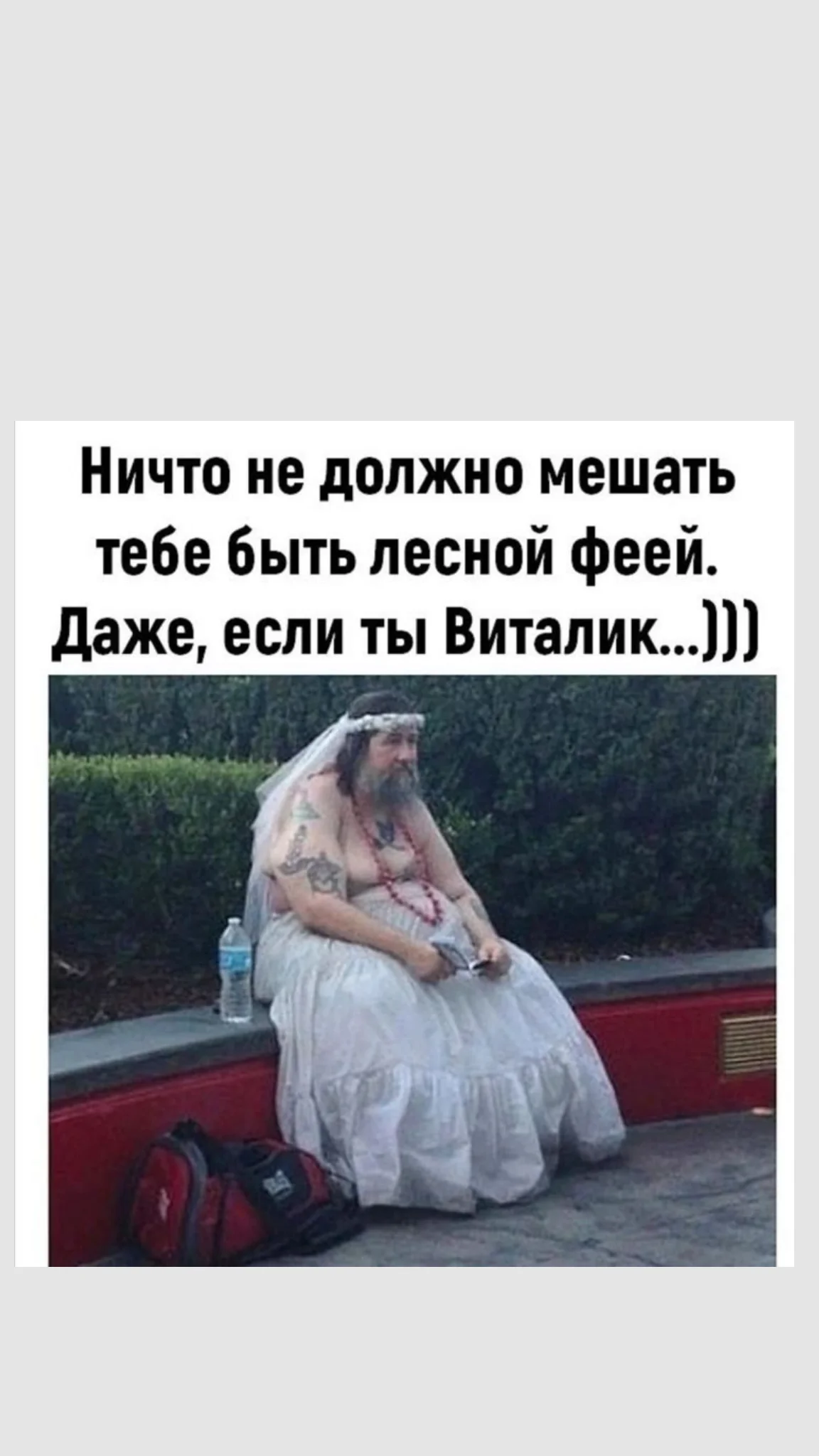 загруженное (1).webp