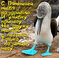 загруженное (14).webp