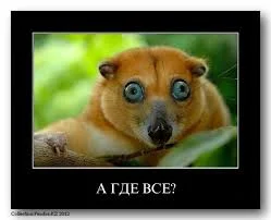 загруженное (17).webp