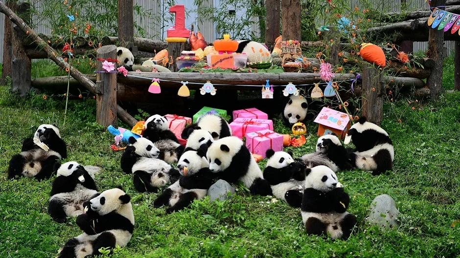 загруженное (2).webp